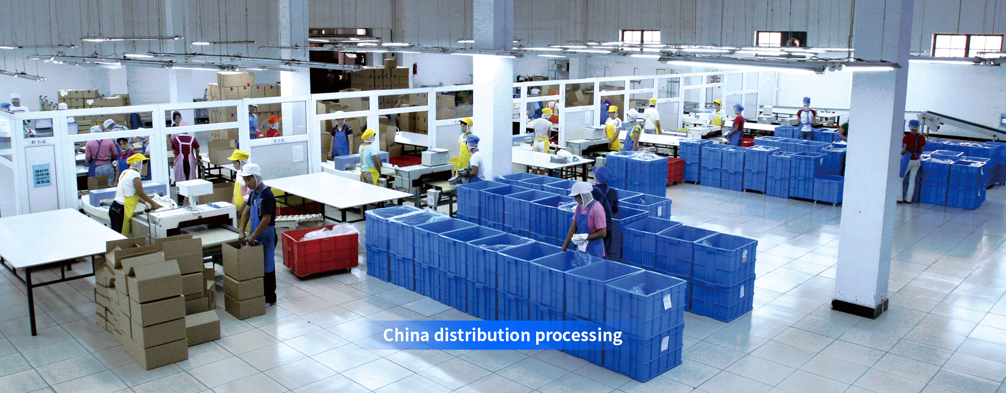China distribution processing